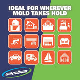 Concrobium 25001CAL Mold Control, 1 Gallon