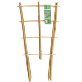 Sprigra Bamboo Trellis 2FT 3 Pack, Plant Ladder Stakes 24 Inches, Natural Fan-Shaped Bamboo Trellis for Orchid Vines, Monarchs, Ivy and Other Plants Climbing, Help Plant Growth