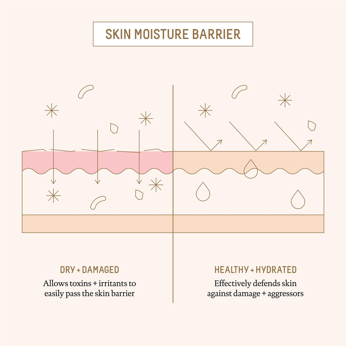 BIOSSANCE Squalane + Ectoin Overnight Rescue, hydrating, Firming and Smoothing Skin Care Treatment, 1.6oz