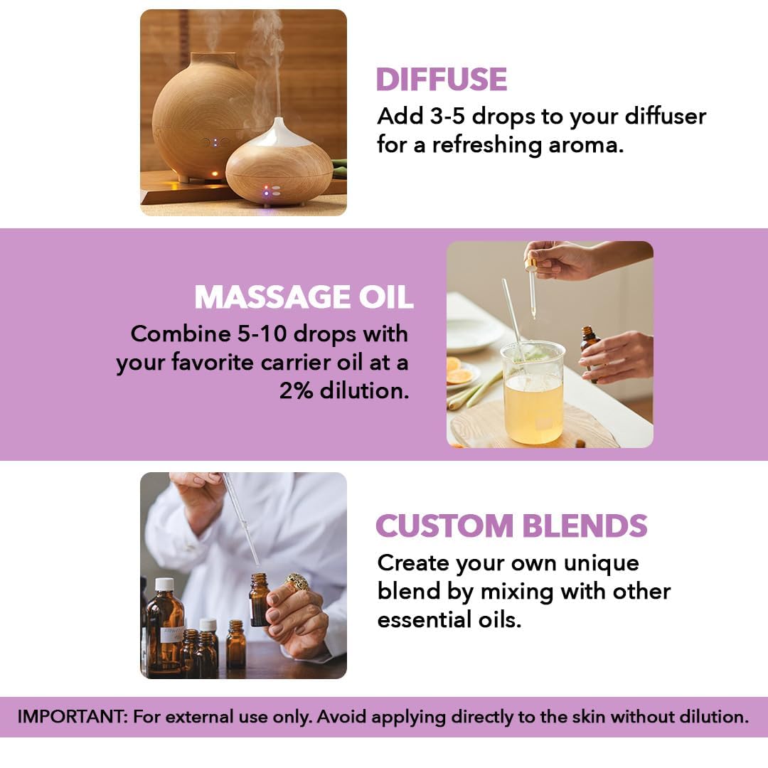 Majestic Pure Lavender Essential Oil | 100% Natural | Premium Grade Essential Oils for Hair Care, Home Diffusers, Skin, Aromatherapy, Massage and Humidifiers | 4 Fl Oz (Pack of 2)