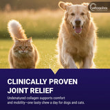 Vetoquinol Flexadin, Advanced Hip & Joint Chews for Dogs, 60 Chews