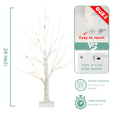 EAMBRITE Home Decorations Light Up White Birch Tree Indoor Christmas Decor, 4 Pack Battery Operated/USB Lighted Tabletop Money Tree Lamp Led Lights Easter Wedding Centerpiece Table Room (2 Ft)