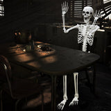 Lodou 5.4Ft Posable Life Size Human Adult Skeletons Plastic Human Bones with Movable Joints for Halloween Decoration