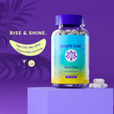 purple tree Next Day, Post-Celebration Wellness - Take Tomorrow | Replenish & Feel Your Best | Ashwagandha, Ginger, Peppermint, Milk Thistle, Electrolytes, Vitamins, 90 Pills