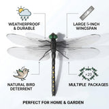 IANMINJ 20 Pcs Black Dragonfly Decorative Stakes, Dragonfly Clip,Fake Dragonflies, Humming Bird Stakes Fake, Plastics Dragonfly for Hat Indoor Outdoor Yard Balcony Plant Flower Pot Decor