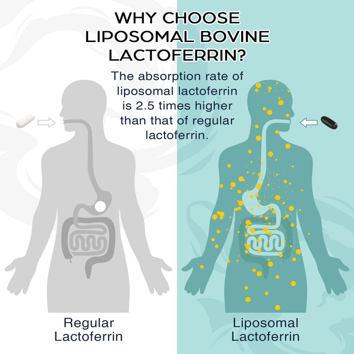 Pepeior Liposomal Lactoferrin 1000 mg Diet - Maximized Lactoferrin - A Component in Colostrum - for Iron Absorption & Immune Function Lactoferrin Supplements for Adults, 60 Softgels (1 Bottle)