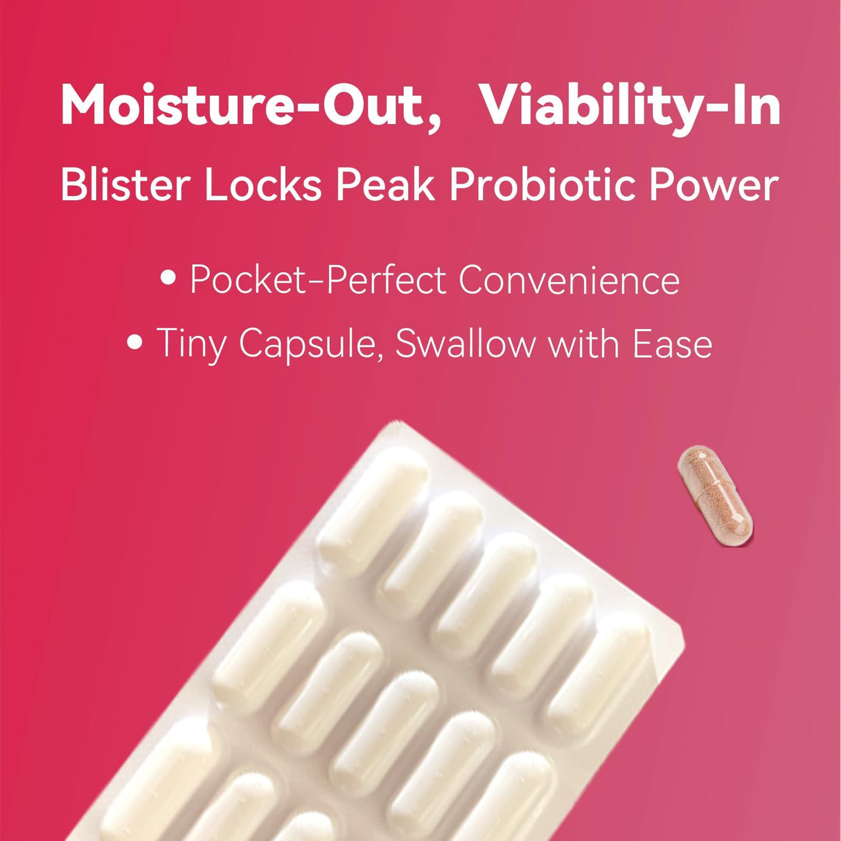 Vevoec Gynable Vaginal Probiotics for Women,Female Probiotic for pH Balance with Lactobacillus 5 Billion CFU Probiotics Blend,Selenium-Vitamin D3,Promote Healthy Vaginal Odor & Vaginal Flora,60 Count
