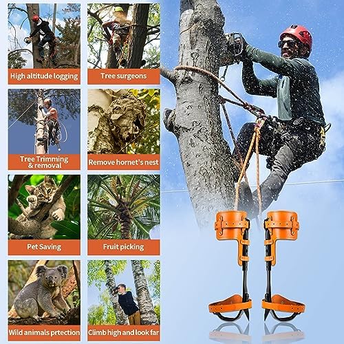 Tree Climbing Gear, Cowhide Leather Tree Climbing Spikes Set, Height-Adjustable Tree Climbing Spurs for Tree Work, Tree Trimming, Tree Cutting, Logging, Hunting, Picking Fruit,
