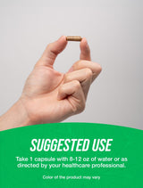 BulkSupplements.com Ursolic Acid Capsules - Ursolic Acid Supplement, Sourced from Rosemary Leaf Extract - Vegan, 1 Capsule per Serving (75mg), 240 Count (Pack of 1)