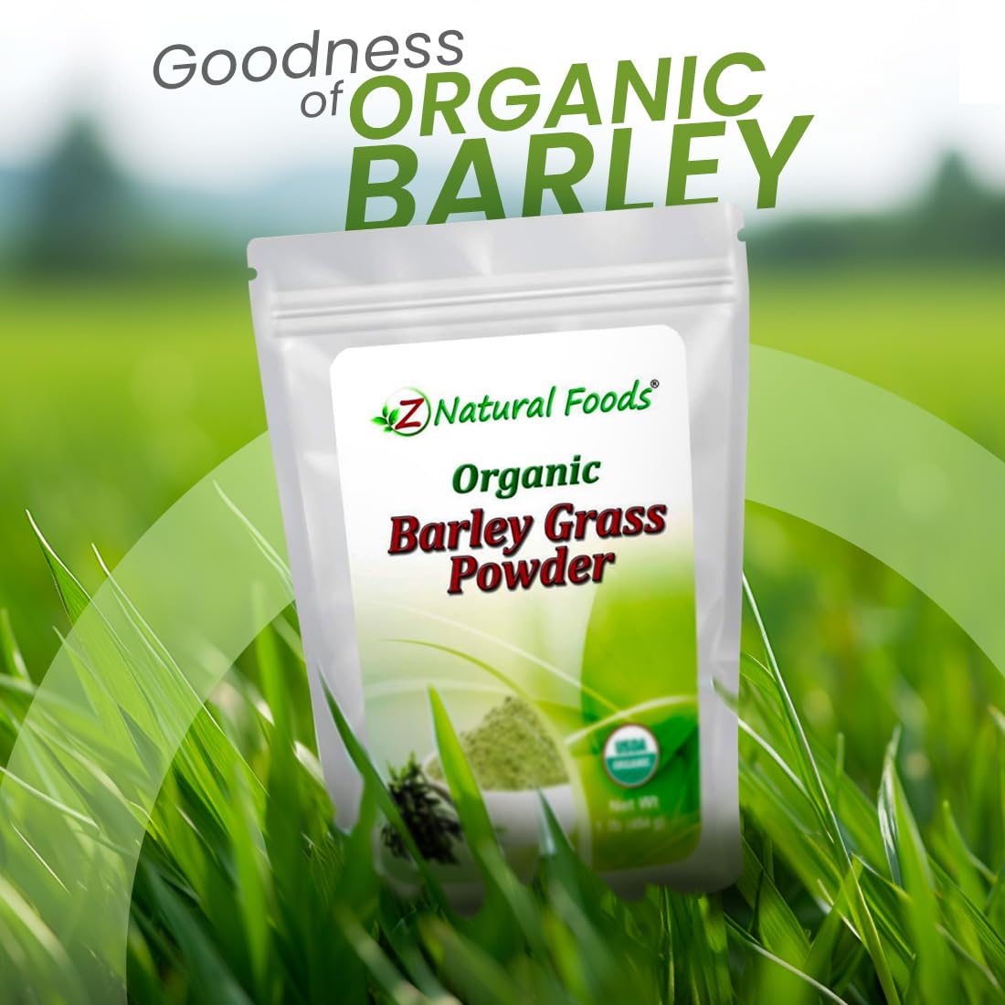 Z Natural Foods Organic Barley Grass Powder - USDA Organic Whole Food Green Blend for Energy Boost, Detox & pH Balance with Amino Acids, Minerals - Antioxidant Mix for Juice, Water, Smoothies, 1 lb