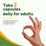 Doctor's Recipes Moringa 11,000 mg Strength, Complete Green Superfood, Natural Antioxidant Support, Non-GMO, 240 Vegan Caps, No Caffeine Soy Gluten