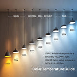 Linkind A19 LED Light Bulbs Dimmable, 100W Equivalent Light Bulbs, 16W, 2700K Soft White, 1600 Lumens LED Bulbs, E26 Standard Base, 120V, Lighting for Bedroom Living Room Home Office, 6 Packs
