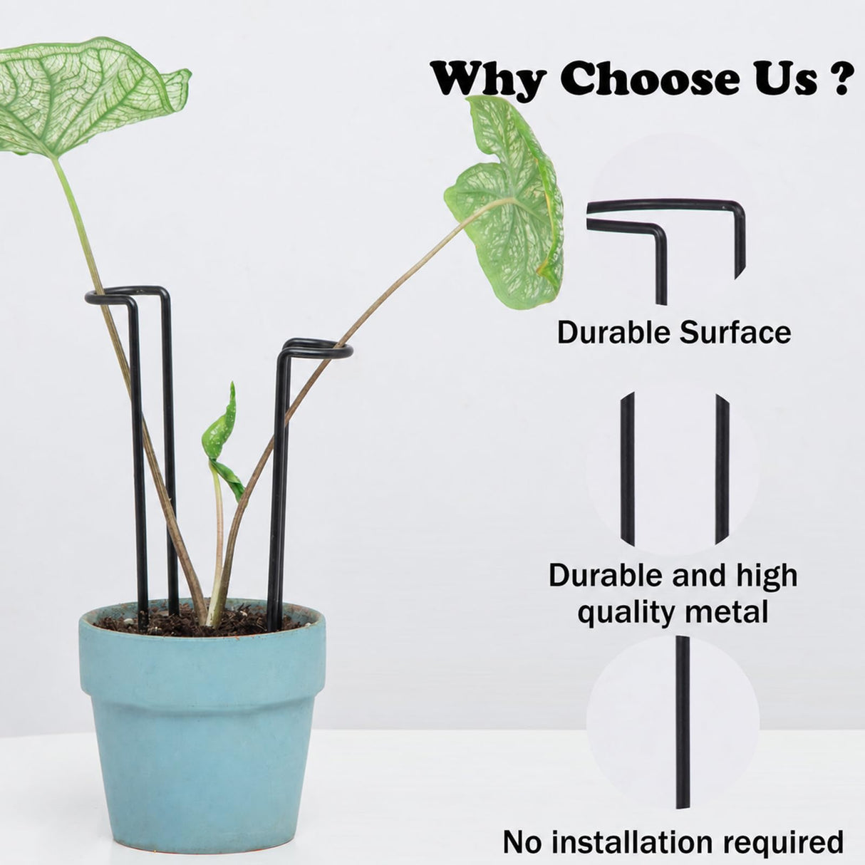 10 Pcs 8.7"Indoor Plant Support for Monstera Trellis Stakes and Stem Holder