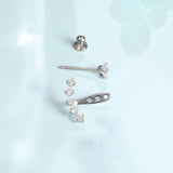 Limerencia F136 Hypoallergenic Pure Titanium Earrings for Women