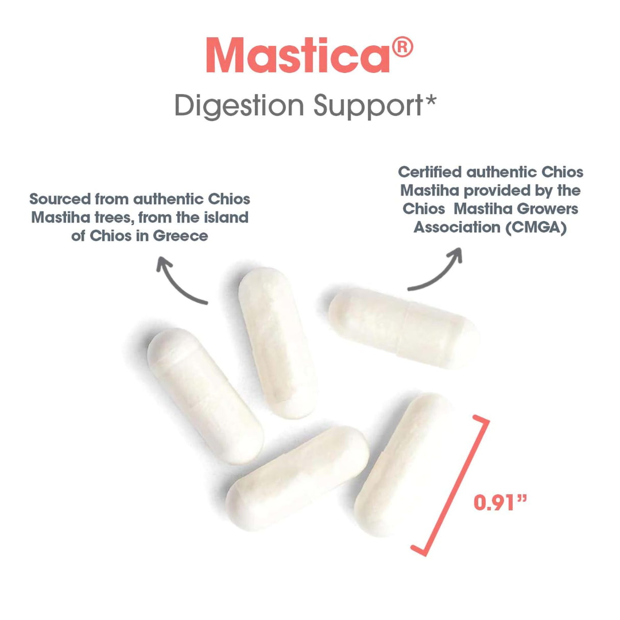 Allergy Research Group Mastica - Mastic Gum Capsules, Digestive Health Supplement for Adults, Mastic Resin Powder Capsules for Gut Health Support - 240 Count