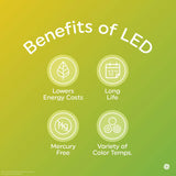 GE Daylight LED 60W Equivalent General Purpose A19 Light Bulbs (12 Pack)