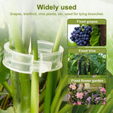 50 PCS Secured Plastic Plant Clip, Plant Support Clips, Garden Clips for Climbing Plants, Plastic Trellis Clips Plant Support Clips Tomato Grape Vine Vegetables Plant Fixing Clips (50, Green)