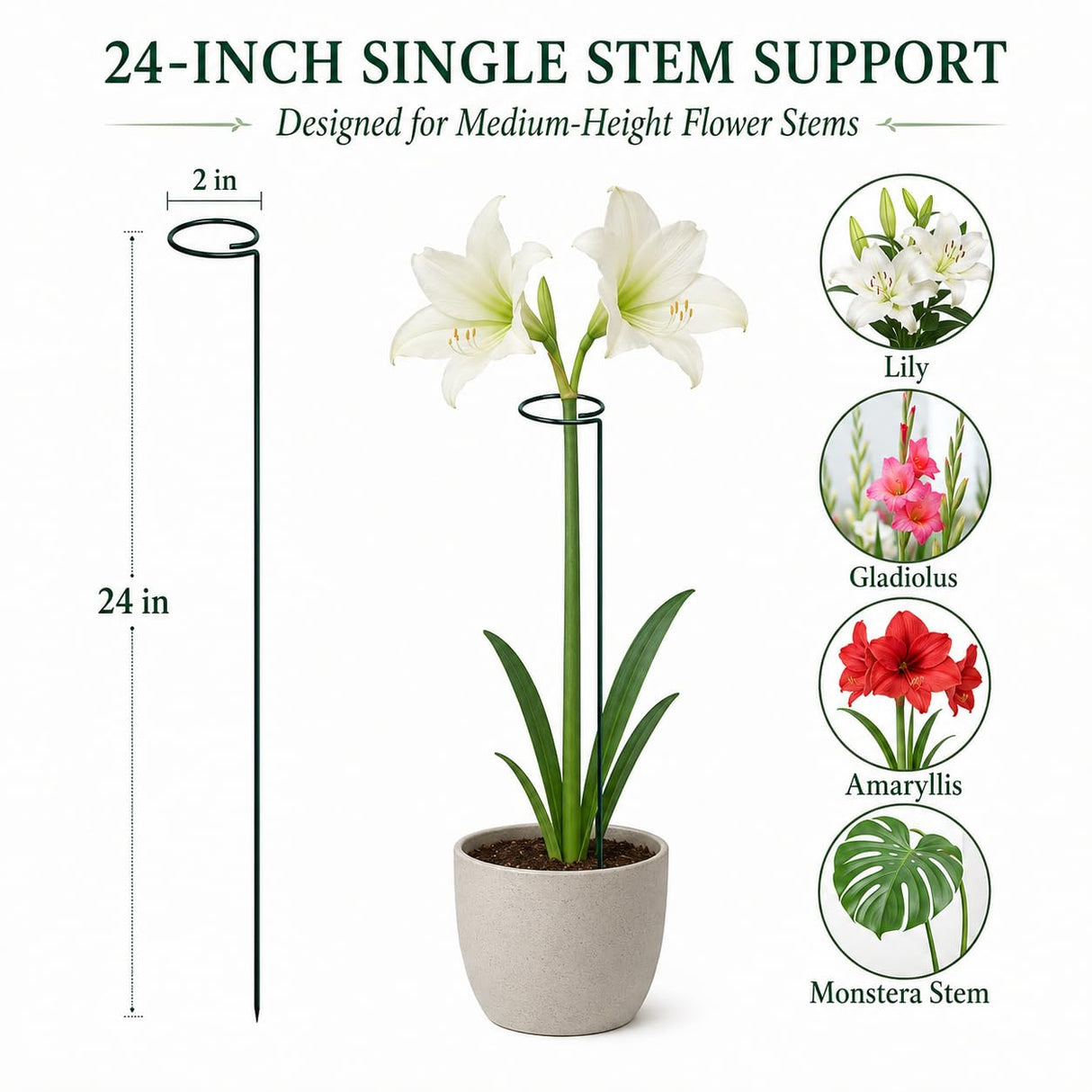 Tingyuan Plant Support Stakes, 20 Pack 24 Inch Metal Rings for Flower Stems