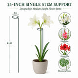 Tingyuan Plant Support Stakes, 20 Pack 24 Inch Metal Rings for Flower Stems