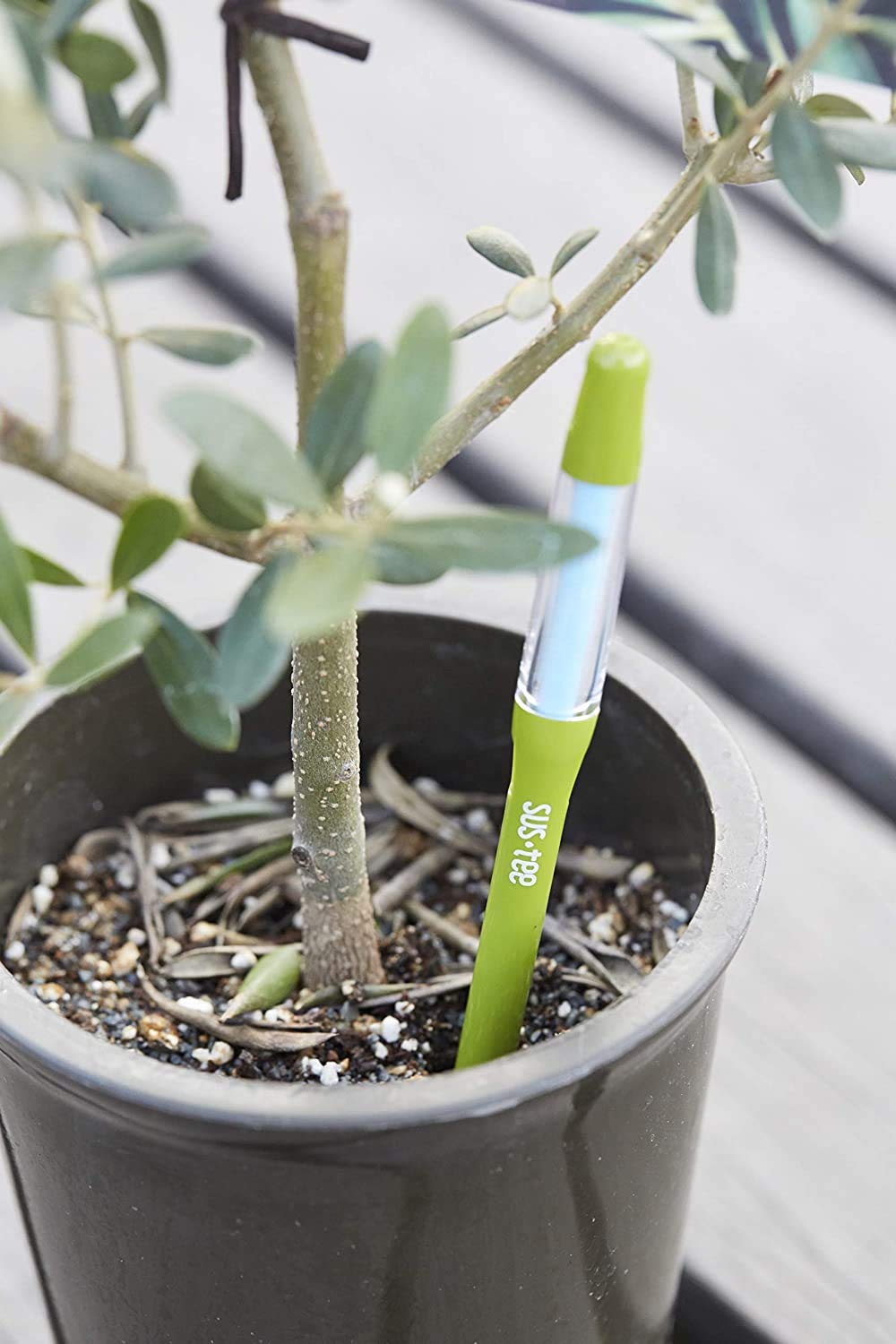 Sustee Aquameter, Set of 5, Plant Soil Moisture Sensor (Green, Large)