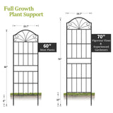 VOXOR Metal Trellis for Climbing Plants Outdoor, 60 * 19.7 Inch Tall Garden Trellis with Black Rustproof Coating, Decorative Rose Trellis for Climbing Roses, Vines, and Flowers, 2 Pack