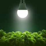 Briignite Full Spectrum LED Grow Light Bulbs, A19 Shape, E26 Base, 11W, 100W Equivalent, 6 Pack for Indoor Plants & Seed Starting