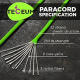 TECEUM 5/32" Paracord Rope 1000 – 1000ft / 200ft / 100ft / 50ft – Tactical Parachute Cord 4mm – 45+ Colors – Nylon String for Survival & Camping Gear – Stripe Cord for Survival – Utility Rope