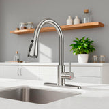 FEELSO Kitchen Faucets with Pull Down Sprayer, High Arc Stainless Steel Single Handle Kitchen Sink Faucet, 1 or 3 Hole Brushed Nickel Water Faucets for Farmhouse Laundry Camper Rv Bar
