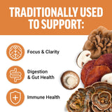Force Factor Modern Mushrooms Soft Chews, Mushroom Supplement with Lions Mane, Turkey Tail, & Cordyceps to Support Energy, Focus, Immunity, & Digestion, Cinnamon Roll, 60 Soft Chews