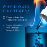 Apothékary Blue Burn Herbal Liquid Drops Supplement | Dietary Metabolism Support Supplement with Oregon Grape Root, Blue Spirulina, Maca Root and Berberine, Liquid Vitamins | 1.22 Fl Oz, 30 Servings