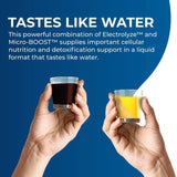 BEAM Minerals Micro-BOOST Humic Mineral Blend | Plant-Based Multi Minerals Supplement & Electrolytes Liquid | Micronutrients Supplements | Deficiency Support | Pure Natural Antioxidant | Keto Friendly