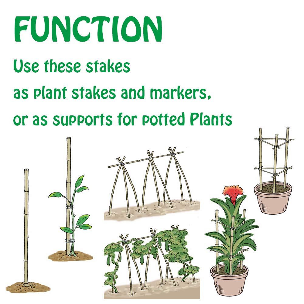 Mininfa Natural Bamboo Stakes 4 Feet, Eco-Friendly Garden Stakes, Plant Stakes Supports Climbing for Tomatoes, Trees, Beans, 25 Pack