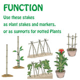 Mininfa Natural Bamboo Stakes 4 Feet, Eco-Friendly Garden Stakes, Plant Stakes Supports Climbing for Tomatoes, Trees, Beans, 25 Pack