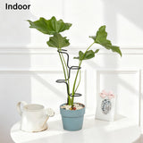 3PCS Indoor Plant Support Stakes - Sturdy Metal Trellis for Houseplants