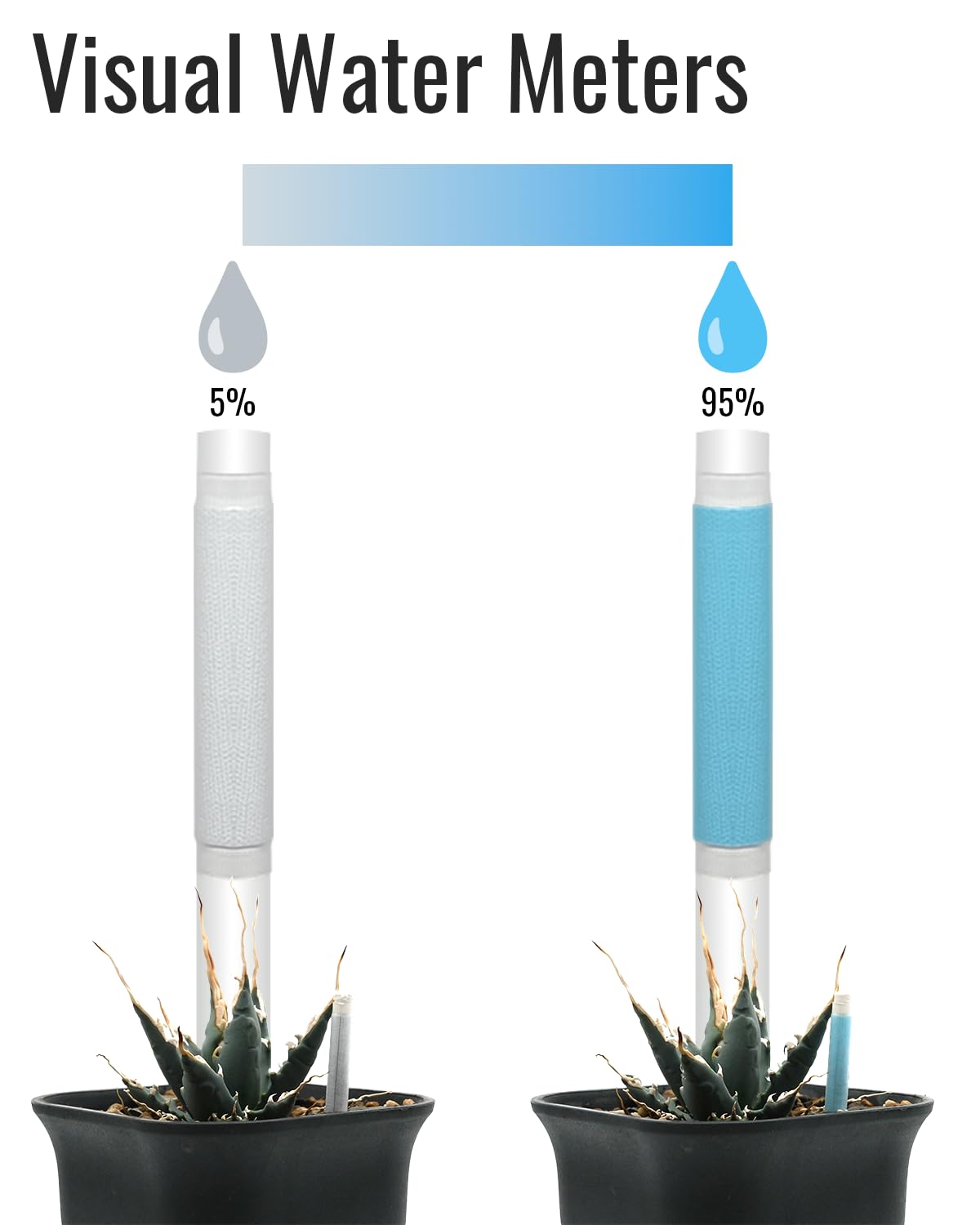 Diligrow Aquameter – Soil Moisture Meter for Succulents, General Plant, Bonsai, Gardening & Farming, Indoor & Outdoor, Beginner-Friendly (12 PCS)