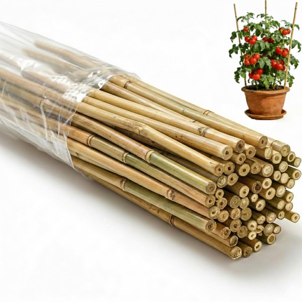 65 Pcs Bamboo Plant Stakes 5 Feet, Oltara Natural Bamboo Sticks Garden Stakes for Climbing Plants Support, Potted Plants, Vegetables, Tomatoes, Beans, Flowers, Trees