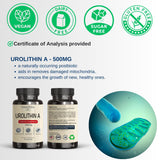 VINATURA Urolithin A Supplement 500mg - Urolithin A+ for Powerful Antioxidants, Anti Aging and Mitochondrial Support, 30 Capsules