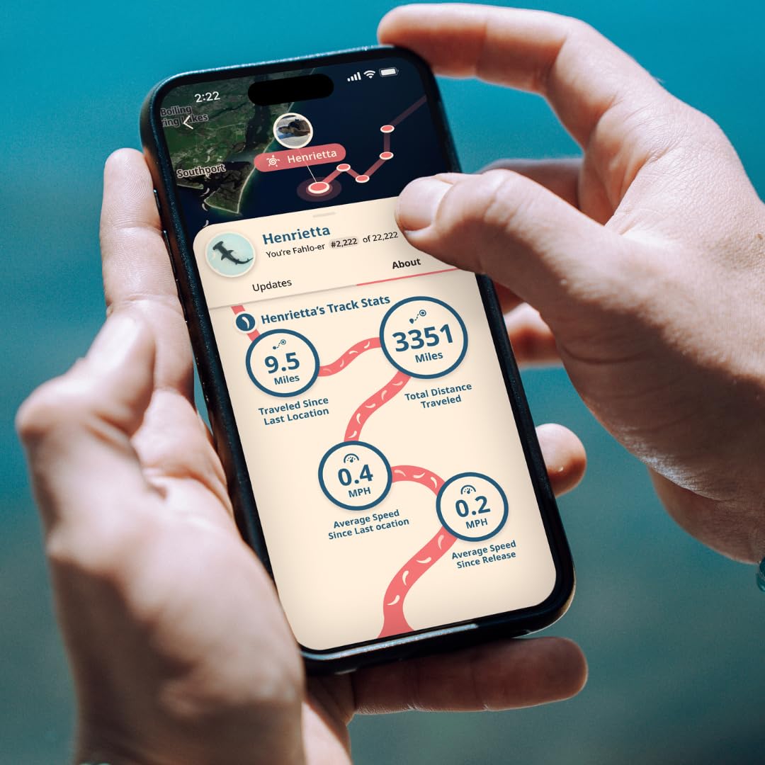 Fahlo Shark Tracking Bracelet – Track a Real Shark’s Journey – Supports Wildlife Conservation – Elastic, One Size Fits Most – on Interactive Mobile App Map – Unisex Ocean Conservation Gift (Dune)