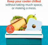 Healthy Packers Ice Packs for Lunch Boxes & Coolers - Freezer Packs - Original Cool Pack | Cooler Accessories for Beach, Camping & Fishing | Slim & Long-Lasting Reusable Ice Pack for Cooler