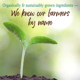 Garden of Life Raw Organic Perfect Food Green Superfood Juiced Greens Powder - Chocolate, 60 Servings, Non-GMO, Gluten Free, Vegan Whole Food Dietary Supplement, Plus Probiotics, Enzymes