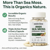 ORGANICS NATURE Irish Sea Moss Capsules 45 Servings | High Potency Seamoss Pills | Dr. Sebi Approved Sea Moss for Energy 90 Vegan Capsules