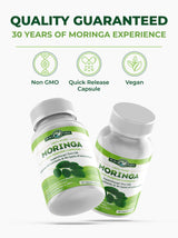 PURA VIDA MORINGA Capsules Single Origin Moringa Powder Organic. Moringa Leaf. Energy, Metabolism, & Immune Support. 120ct. 500mg Caps.