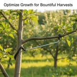 Limb Spreaders for Fruit Trees 21 PCS, 10 Inch Tree Limb Spreader, Metal Fruit Tree Branch Spreaders with Bark-Protective Rubber Hooks, Tree Branch Support for Apple Pear Cherry Plum (10 Inch)