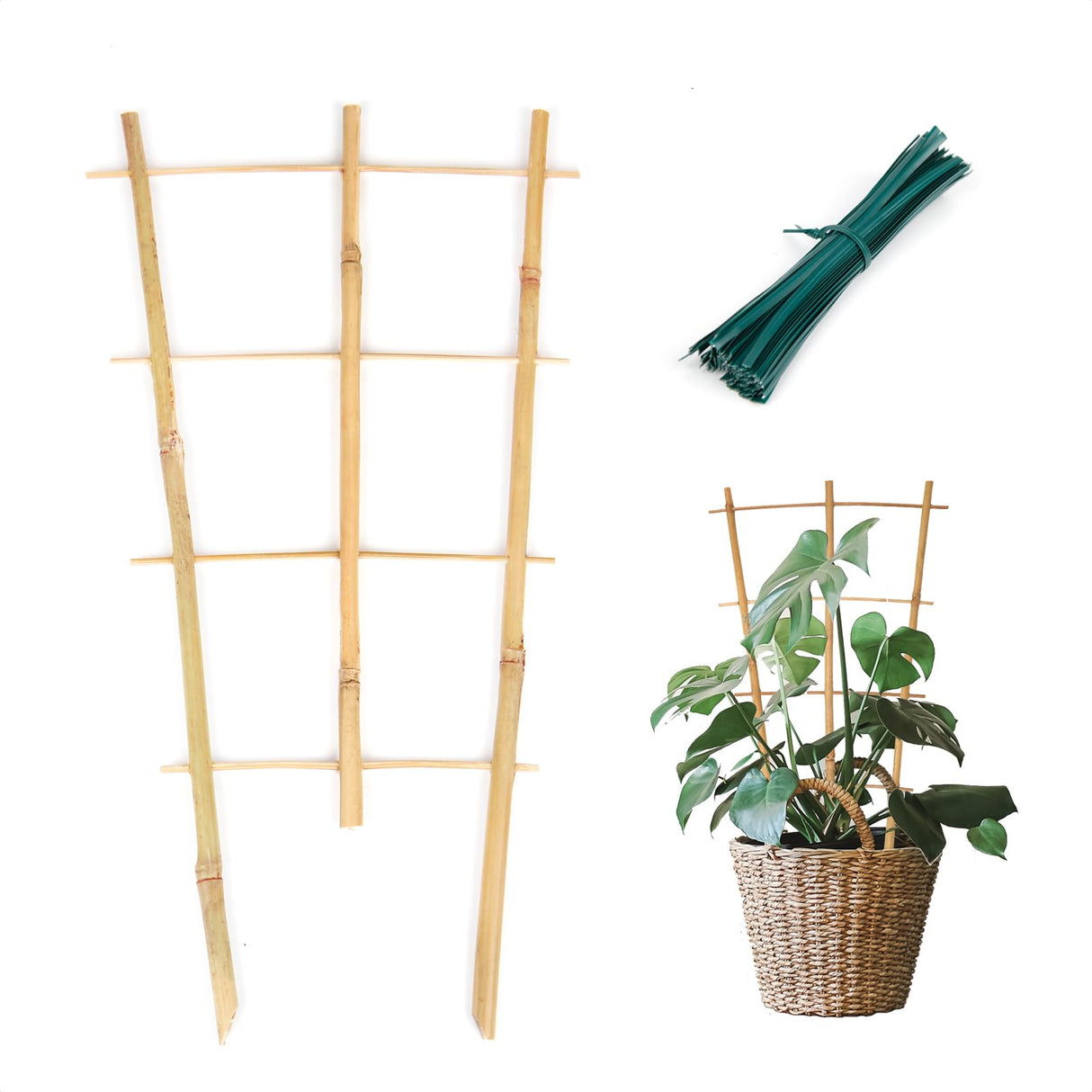Cambaverd Plant Trellis Indoor, 16in Bamboo Trellises, 6 Pack Small Trellis