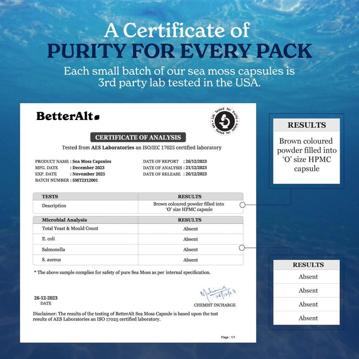 Better Alt Sea Moss Capsules- Irish Seamoss with Black Seed Oil, Ashwagandha & Black Pepper for Stamina, Strength & Endurance- High Potency Seamoss Supplement - 60 Servings, 120 Capsules