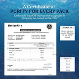 Better Alt Sea Moss Capsules- Irish Seamoss with Black Seed Oil, Ashwagandha & Black Pepper for Stamina, Strength & Endurance- High Potency Seamoss Supplement - 60 Servings, 120 Capsules