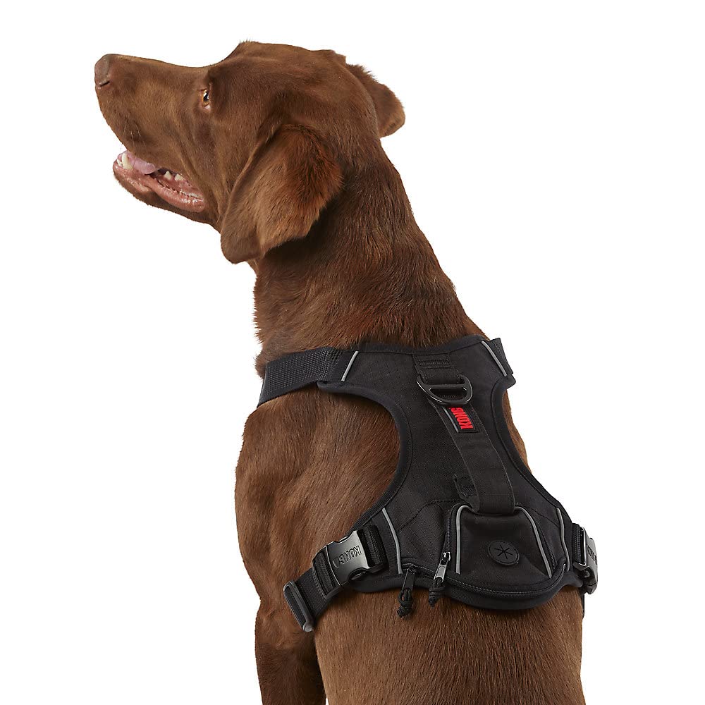 KONG Ultra Durable Waste Bag Harness (XL, Black)