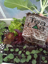 Compost Tea Kit: 5 Gallon Get Brewing Special~ BubbleSnake, Bag, Air Pump & Tubing (714GPH Air Pump)