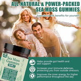 Yrefdmo Sea Moss Gummies 16-in-1 | Irish Seamoss Gummies for Women Men with Black Seed Oil & Ashwagandha & Burdock & Bladderwrack | Boosts Immune Support, Skin Health and Digestion | 30 Gummies
