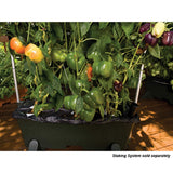 EarthBox 80151 Garden Kit, Organic, Green
